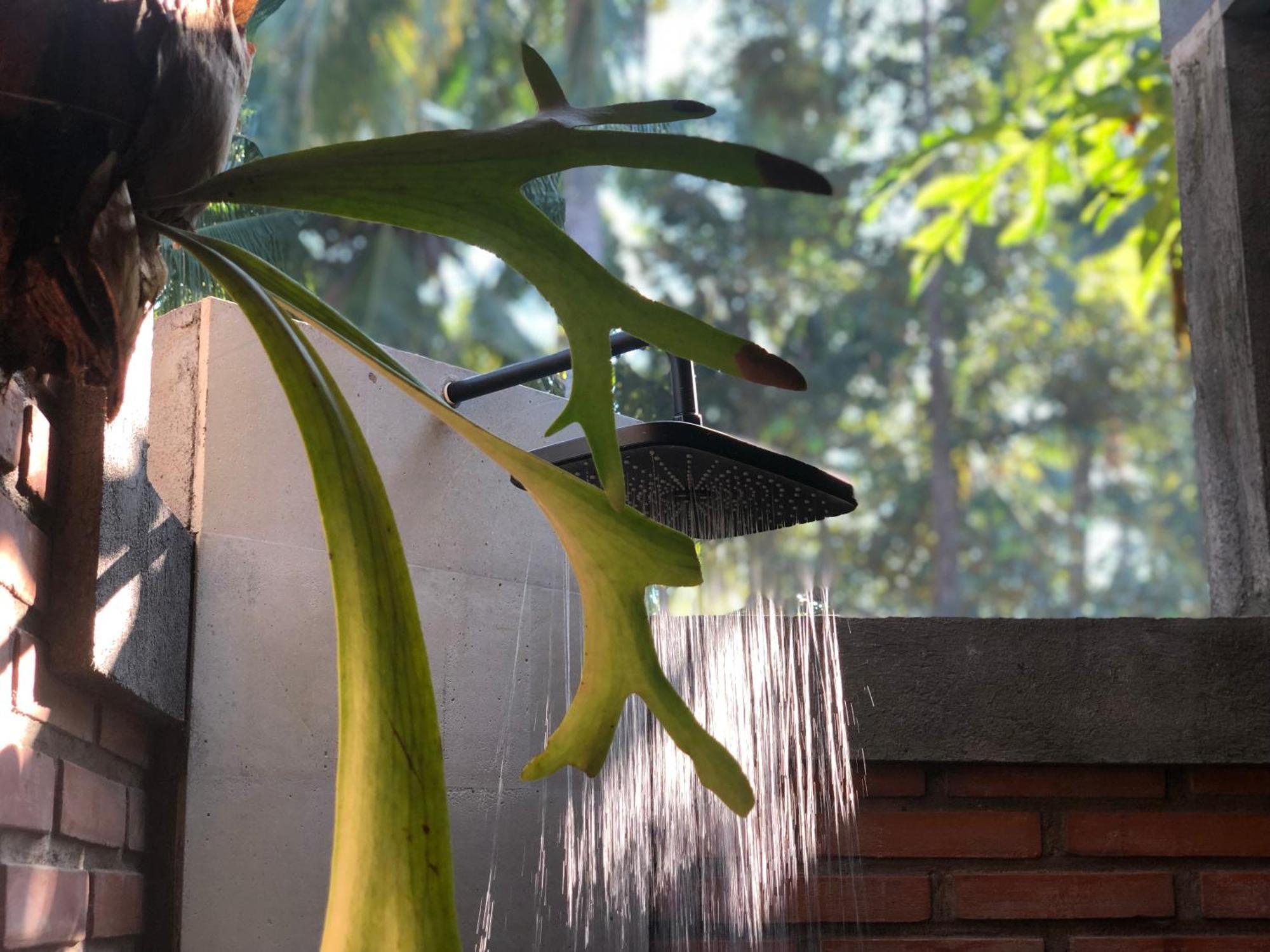 Coco Garden Pool Villas Kubutambahan  Dış mekan fotoğraf